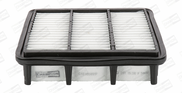 Air Filter (CAF100891P)