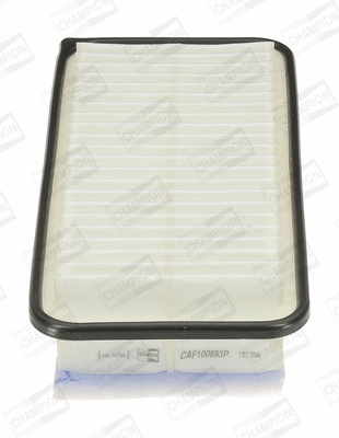 Air Filter (CAF100893P)