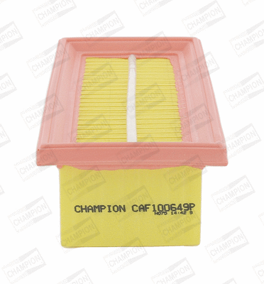 Air Filter (CAF100649P)