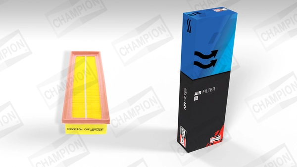 Air Filter (CAF100753P)