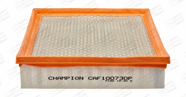 Air Filter (CAF100730P)