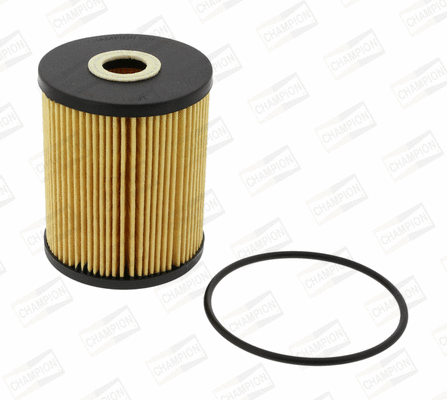 Oil Filter (COF100515E)