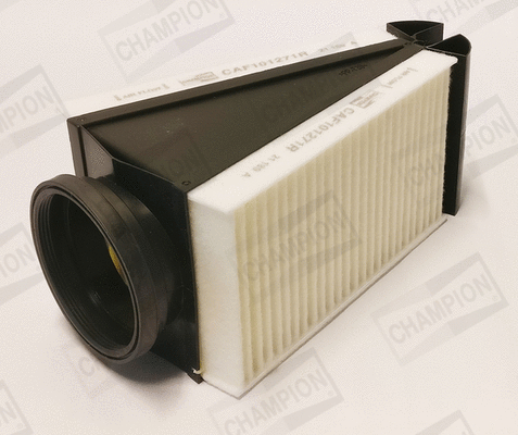 Air Filter (CAF101271R)