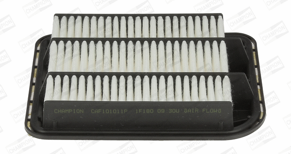 Air Filter (CAF101011P)