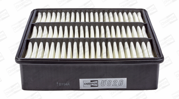 Air Filter (CAF100826P)