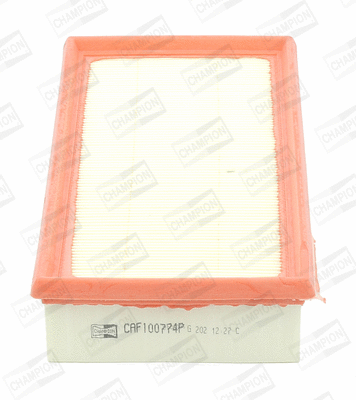 Air Filter (CAF100774P)