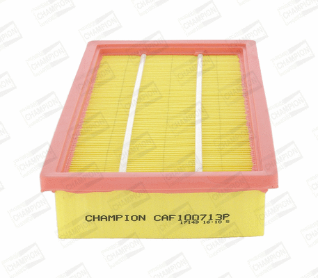 Air Filter (CAF100713P)