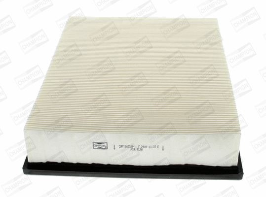 Air Filter (CAF100733P)