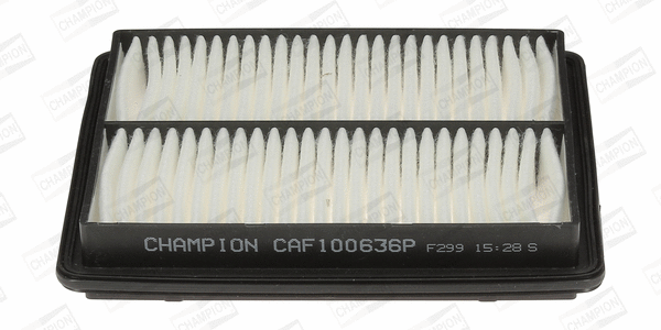 Air Filter (CAF100636P)