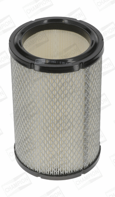 Air Filter (CAF100456C)