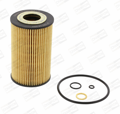 Oil Filter (COF100517E)