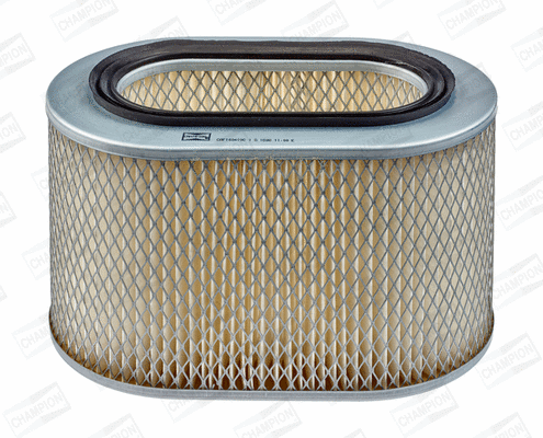 Air Filter (CAF100419C)