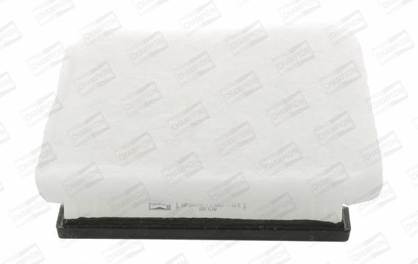 Air Filter (CAF100794P)