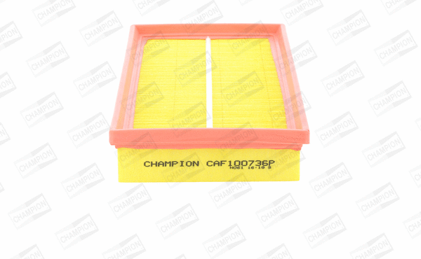 Air Filter (CAF100736P)
