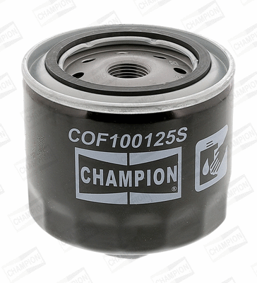 Oil Filter (COF100125S)