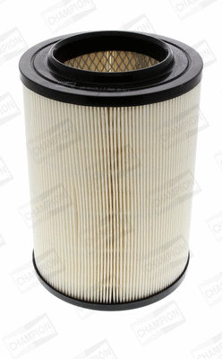 Air Filter (CAF100147R)