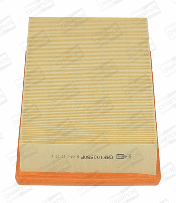 Air Filter (CAF100550P)