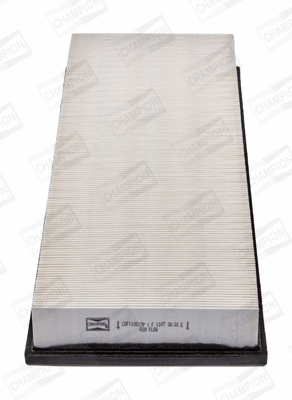 Air Filter (CAF100517P)