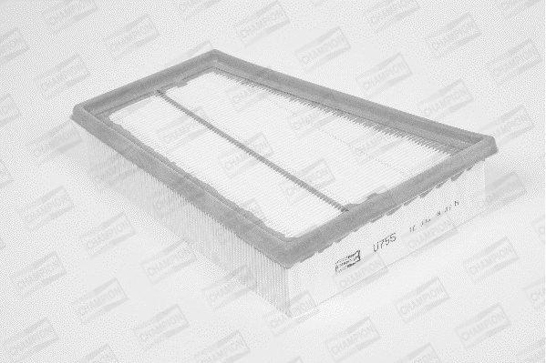 Air Filter (U755/606)