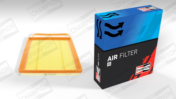 Air Filter (CAF100751P)