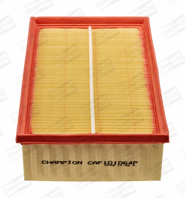 Air Filter (CAF101064P)