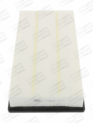 Air Filter (CAF100808P)