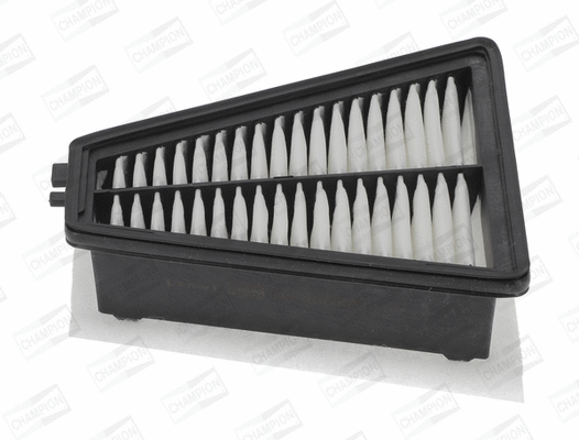 Air Filter (CAF101223P)