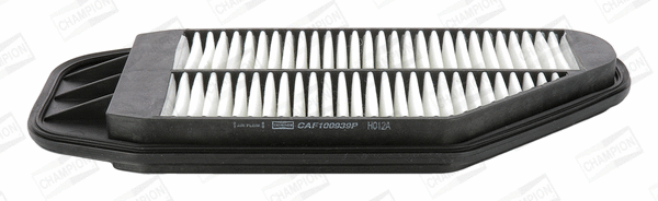 Air Filter (CAF100939P)