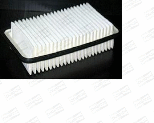 Air Filter (U828/606)