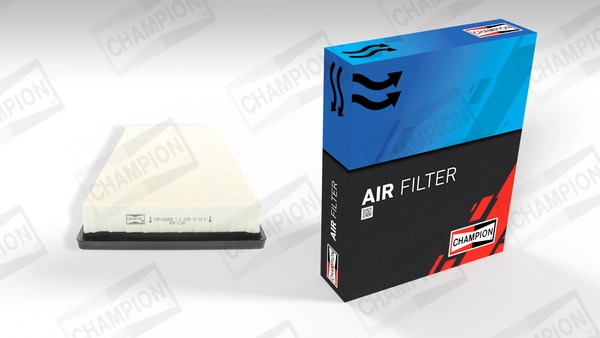 Air Filter (CAF100685P)