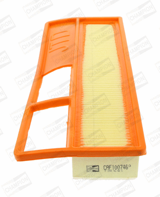 Air Filter (CAF100746P)