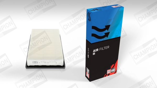 Air Filter (CAF100521P)