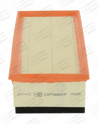 Air Filter (CAF100847P)