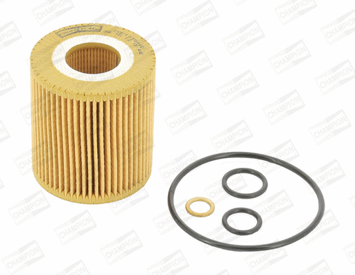 Oil Filter (COF100544E)