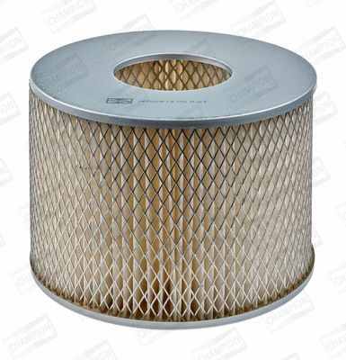 Air Filter (CAF100215R)