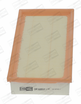 Air Filter (CAF100551P)