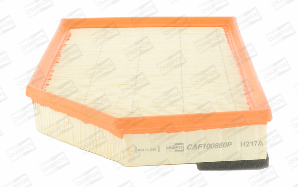 Air Filter (CAF100860P)