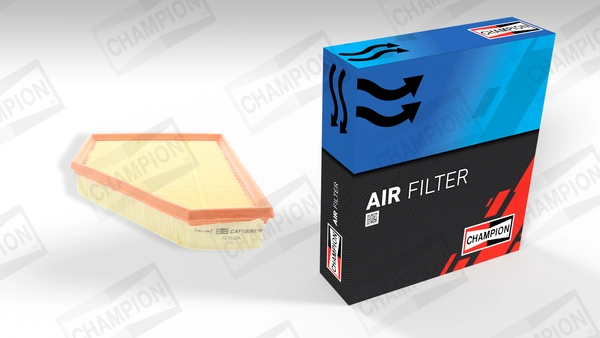 Air Filter (CAF100887P)