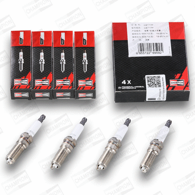 Spark Plug