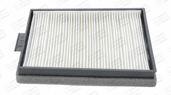 Filter, cabin air (CCF0089)