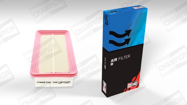 Air Filter (CAF100792P)