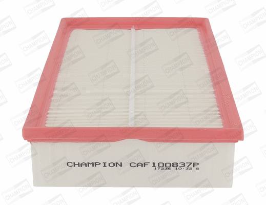 Air Filter (CAF100837P)