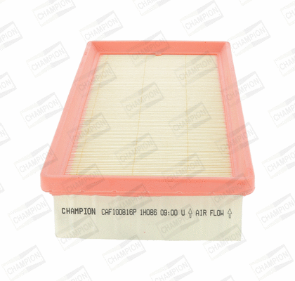 Air Filter (CAF100816P)