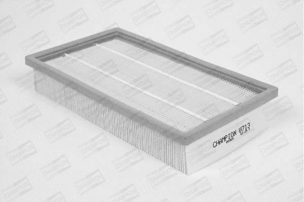 Air Filter (U713/606)