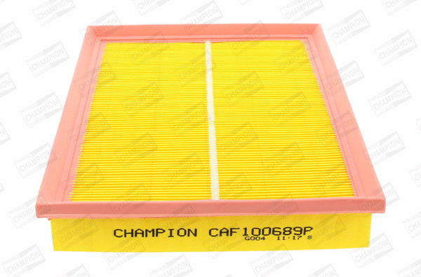 Air Filter (CAF100689P)