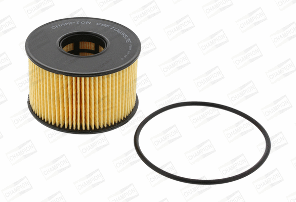 Oil Filter (COF100557E)