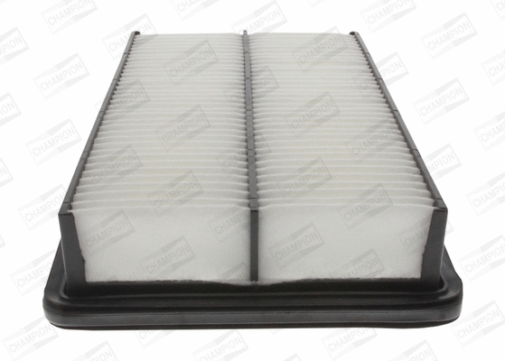 Air Filter (CAF100833P)