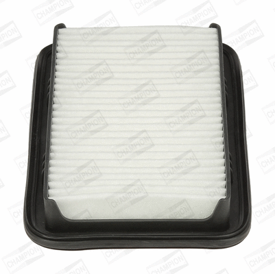 Air Filter (CAF101052P)