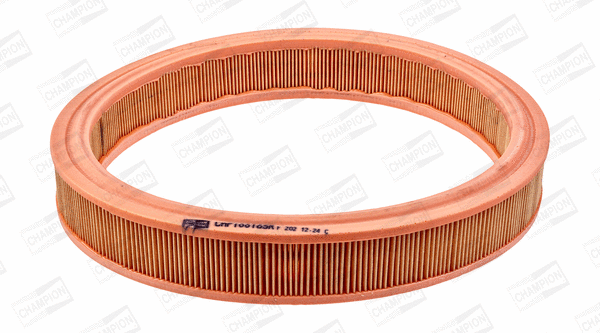 Air Filter (CAF100169R)