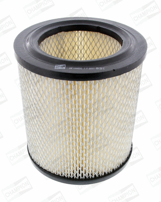 Air Filter (CAF100431C)
